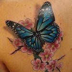butterfly tattoo photo 04.02.2019 №208 - tattoo idea with a butterfly - tattoovalue.net