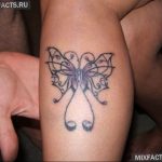 butterfly tattoo photo 04.02.2019 №213 - tattoo idea with a butterfly - tattoovalue.net