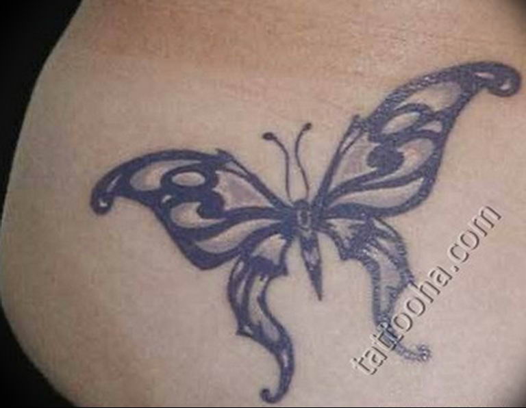 butterfly tattoo photo 04.02.2019 №217 - tattoo idea with a butterfly - tattoovalue.net