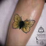 butterfly tattoo photo 04.02.2019 №224 - tattoo idea with a butterfly - tattoovalue.net