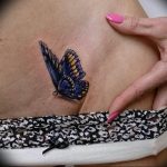 butterfly tattoo photo 04.02.2019 №238 - tattoo idea with a butterfly - tattoovalue.net