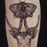 butterfly tattoo photo 04.02.2019 №239 - tattoo idea with a butterfly - tattoovalue.net