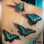 butterfly tattoo photo 04.02.2019 №248 - tattoo idea with a butterfly - tattoovalue.net