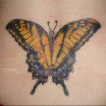 butterfly tattoo photo 04.02.2019 №251 - tattoo idea with a butterfly - tattoovalue.net