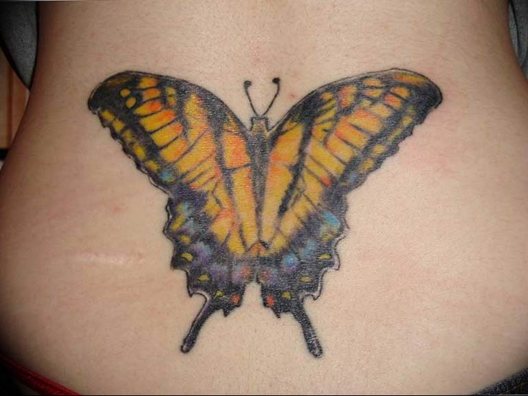 butterfly tattoo photo 04.02.2019 №251 - tattoo idea with a butterfly - tattoovalue.net
