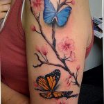 butterfly tattoo photo 04.02.2019 №301 - tattoo idea with a butterfly - tattoovalue.net