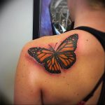 butterfly tattoo photo 04.02.2019 №318 - tattoo idea with a butterfly - tattoovalue.net