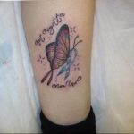 butterfly tattoo photo 04.02.2019 №321 - tattoo idea with a butterfly - tattoovalue.net
