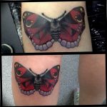 butterfly tattoo photo 04.02.2019 №326 - tattoo idea with a butterfly - tattoovalue.net