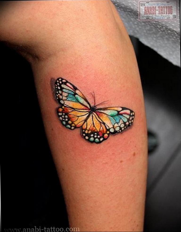 butterfly tattoo photo 04.02.2019 №344 - tattoo idea with a butterfly - tattoovalue.net