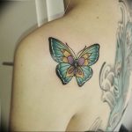 butterfly tattoo photo 04.02.2019 №348 - tattoo idea with a butterfly - tattoovalue.net