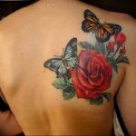 butterfly tattoo photo 04.02.2019 №349 - tattoo idea with a butterfly - tattoovalue.net