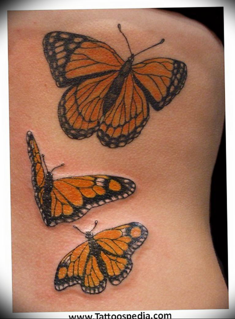 butterfly tattoo photo 04.02.2019 №352 - tattoo idea with a butterfly - tattoovalue.net