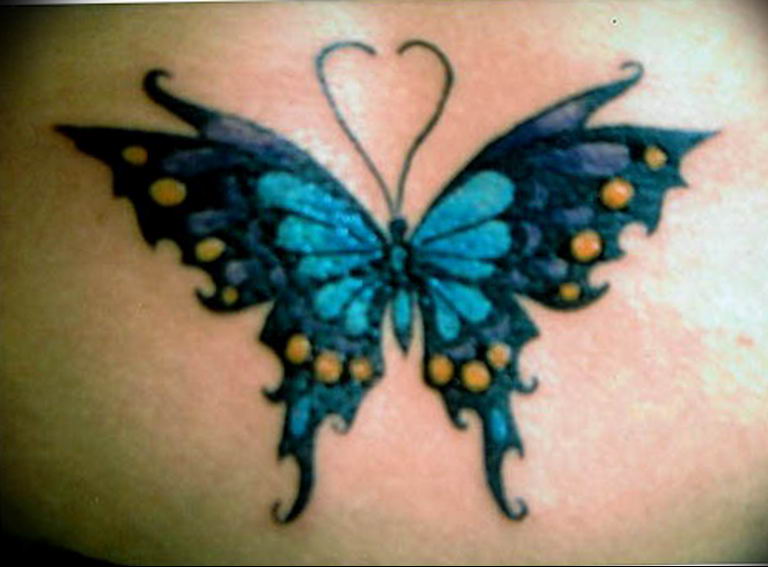 butterfly tattoo photo 04.02.2019 №361 - tattoo idea with a butterfly - tattoovalue.net