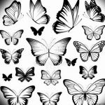 butterfly tattoo photo 04.02.2019 №364 - tattoo idea with a butterfly - tattoovalue.net