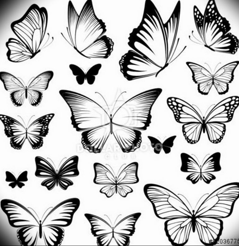 butterfly tattoo photo 04.02.2019 №364 - tattoo idea with a butterfly - tattoovalue.net