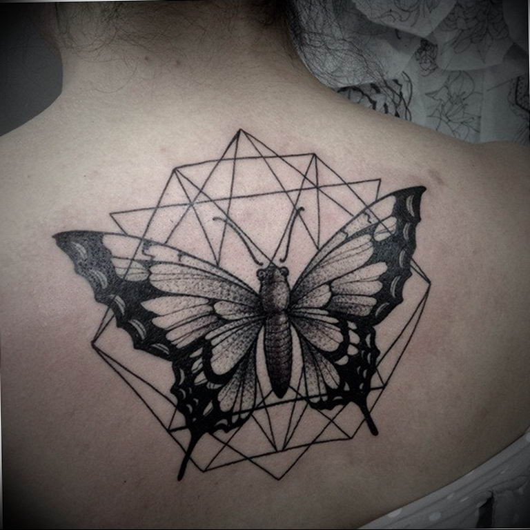 butterfly tattoo photo 04.02.2019 №366 - tattoo idea with a butterfly - tattoovalue.net