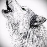 photo tattoo howling wolf 18.02.2019 №096 - wolf tattoo idea howling at moon - tattoovalue.net