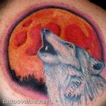 photo tattoo howling wolf 18.02.2019 №141 - wolf tattoo idea howling at moon - tattoovalue.net