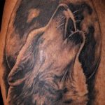 photo tattoo howling wolf 18.02.2019 №174 - wolf tattoo idea howling at moon - tattoovalue.net