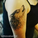 photo tattoo howling wolf 18.02.2019 №042 - wolf tattoo idea howling at moon - tattoovalue.net