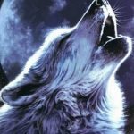 photo tattoo howling wolf 18.02.2019 №066 - wolf tattoo idea howling at moon - tattoovalue.net