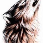 photo tattoo howling wolf 18.02.2019 №074 - wolf tattoo idea howling at moon - tattoovalue.net