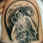photo tattoo howling wolf 18.02.2019 №083 - wolf tattoo idea howling at moon - tattoovalue.net