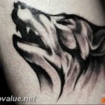photo tattoo howling wolf 18.02.2019 №106 - wolf tattoo idea howling at moon - tattoovalue.net