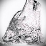 photo tattoo howling wolf 18.02.2019 №107 - wolf tattoo idea howling at moon - tattoovalue.net