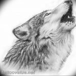 photo tattoo howling wolf 18.02.2019 №108 - wolf tattoo idea howling at moon - tattoovalue.net