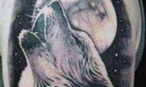 photo tattoo howling wolf 18.02.2019 №117 - wolf tattoo idea howling at moon - tattoovalue.net