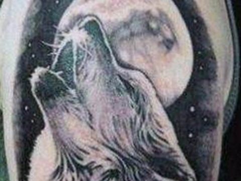 photo tattoo howling wolf 18.02.2019 №117 - wolf tattoo idea howling at moon - tattoovalue.net