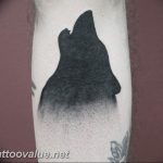 photo tattoo howling wolf 18.02.2019 №121 - wolf tattoo idea howling at moon - tattoovalue.net
