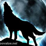 photo tattoo howling wolf 18.02.2019 №128 - wolf tattoo idea howling at moon - tattoovalue.net