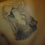 photo tattoo howling wolf 18.02.2019 №142 - wolf tattoo idea howling at moon - tattoovalue.net