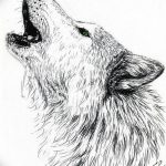photo tattoo howling wolf 18.02.2019 №170 - wolf tattoo idea howling at moon - tattoovalue.net