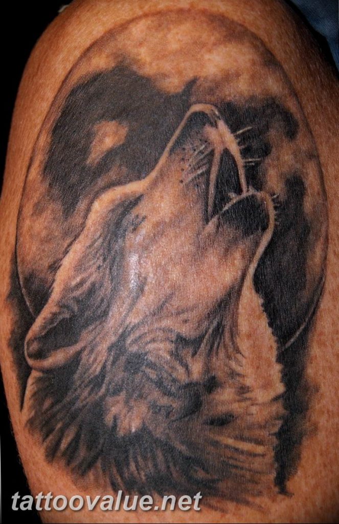 photo tattoo howling wolf 18.02.2019 №174 - wolf tattoo idea howling at moon - tattoovalue.net
