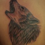 photo tattoo howling wolf 18.02.2019 №179 - wolf tattoo idea howling at moon - tattoovalue.net