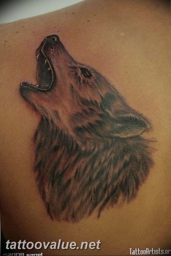 photo tattoo howling wolf 18.02.2019 №179 - wolf tattoo idea howling at moon - tattoovalue.net