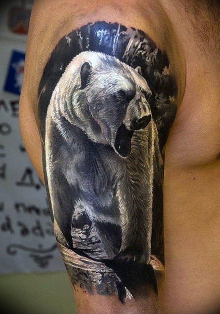 Bear Tattoo Designs For Woman  TattooMenu
