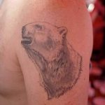 photo tattoo polar bear 05.02.2019 №172 - polar bear tattoo idea - tattoovalue.net