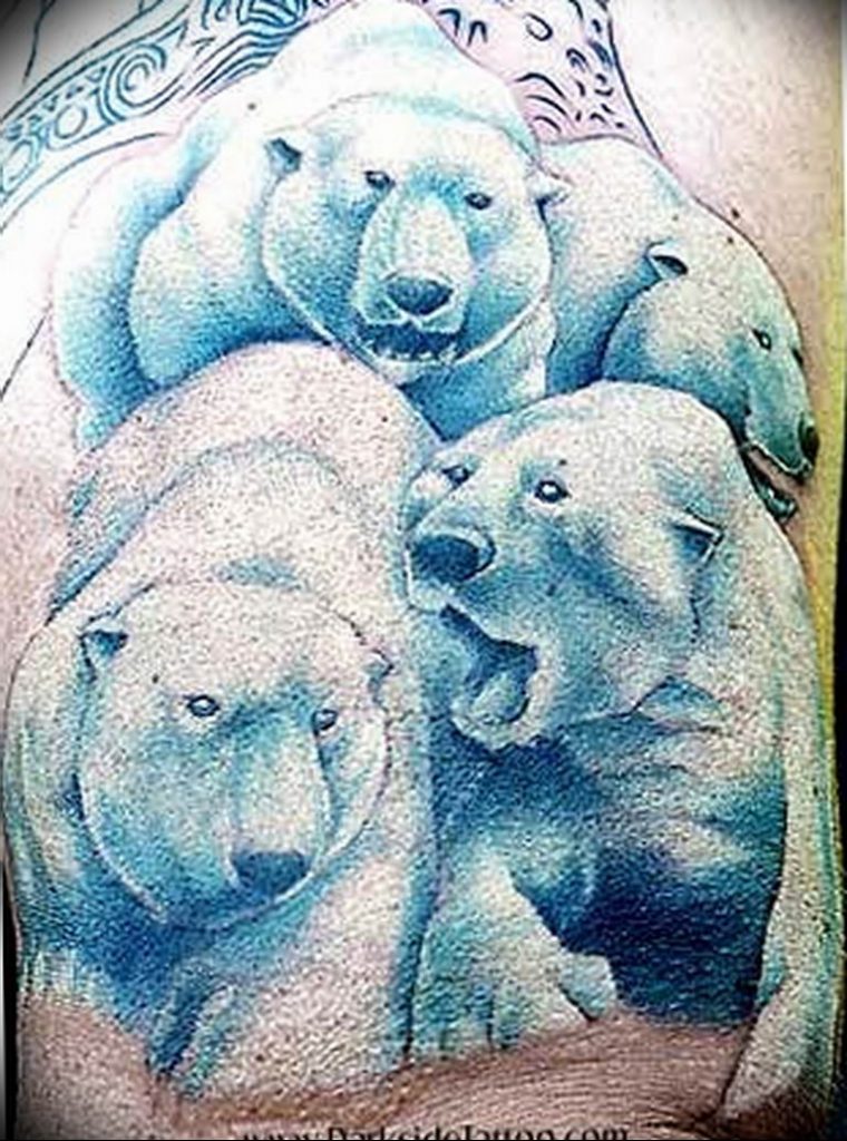 photo tattoo polar bear 05.02.2019 № 201 - polar bear tattoo idea - tattoov...