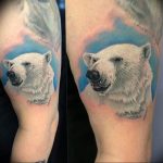 photo tattoo polar bear 05.02.2019 №017 - polar bear tattoo idea - tattoovalue.net