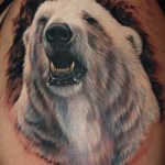 photo tattoo polar bear 05.02.2019 №022 - polar bear tattoo idea - tattoovalue.net