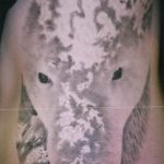 photo tattoo polar bear 05.02.2019 №067 - polar bear tattoo idea - tattoovalue.net