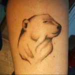 photo tattoo polar bear 05.02.2019 №090 - polar bear tattoo idea - tattoovalue.net