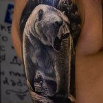 photo tattoo polar bear 05.02.2019 №114 - polar bear tattoo idea - tattoovalue.net
