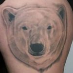 photo tattoo polar bear 05.02.2019 №117 - polar bear tattoo idea - tattoovalue.net
