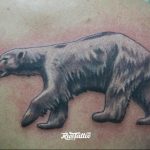 photo tattoo polar bear 05.02.2019 №126 - polar bear tattoo idea - tattoovalue.net